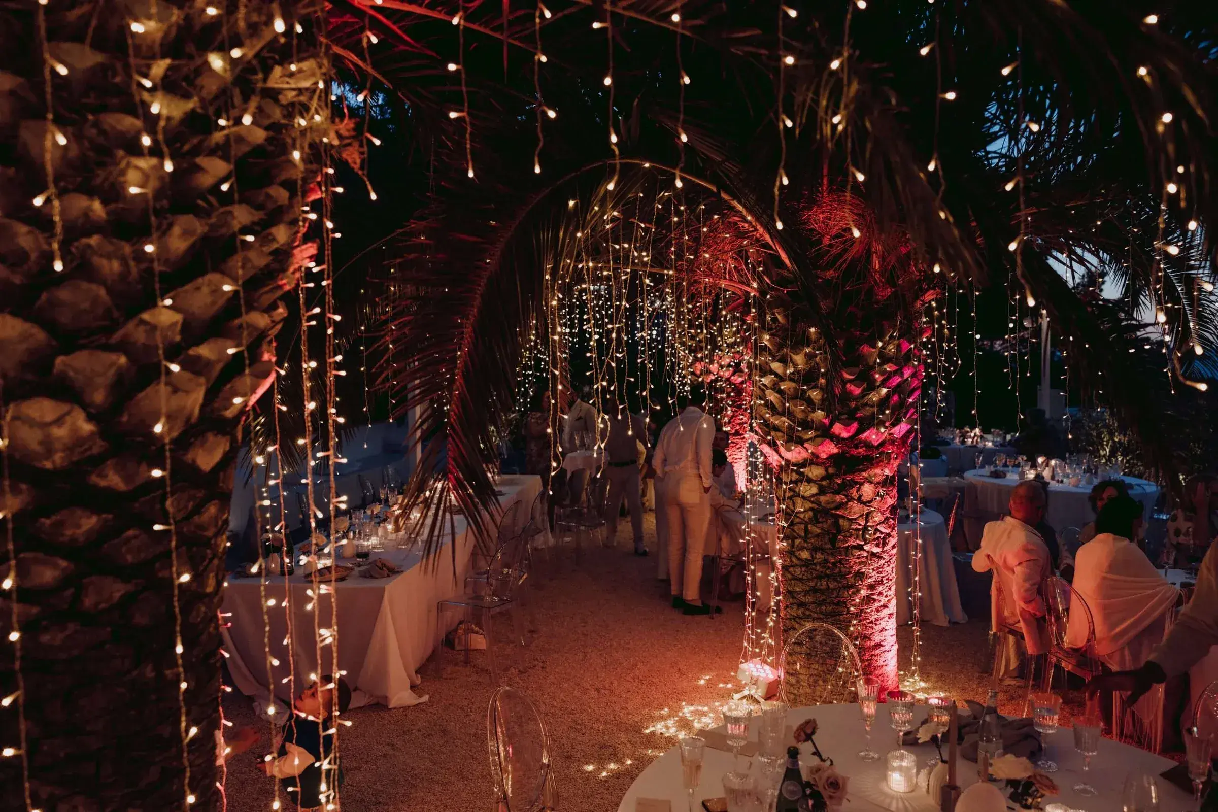 Kazamor: Evening reception under palms wrapped in fairy lights