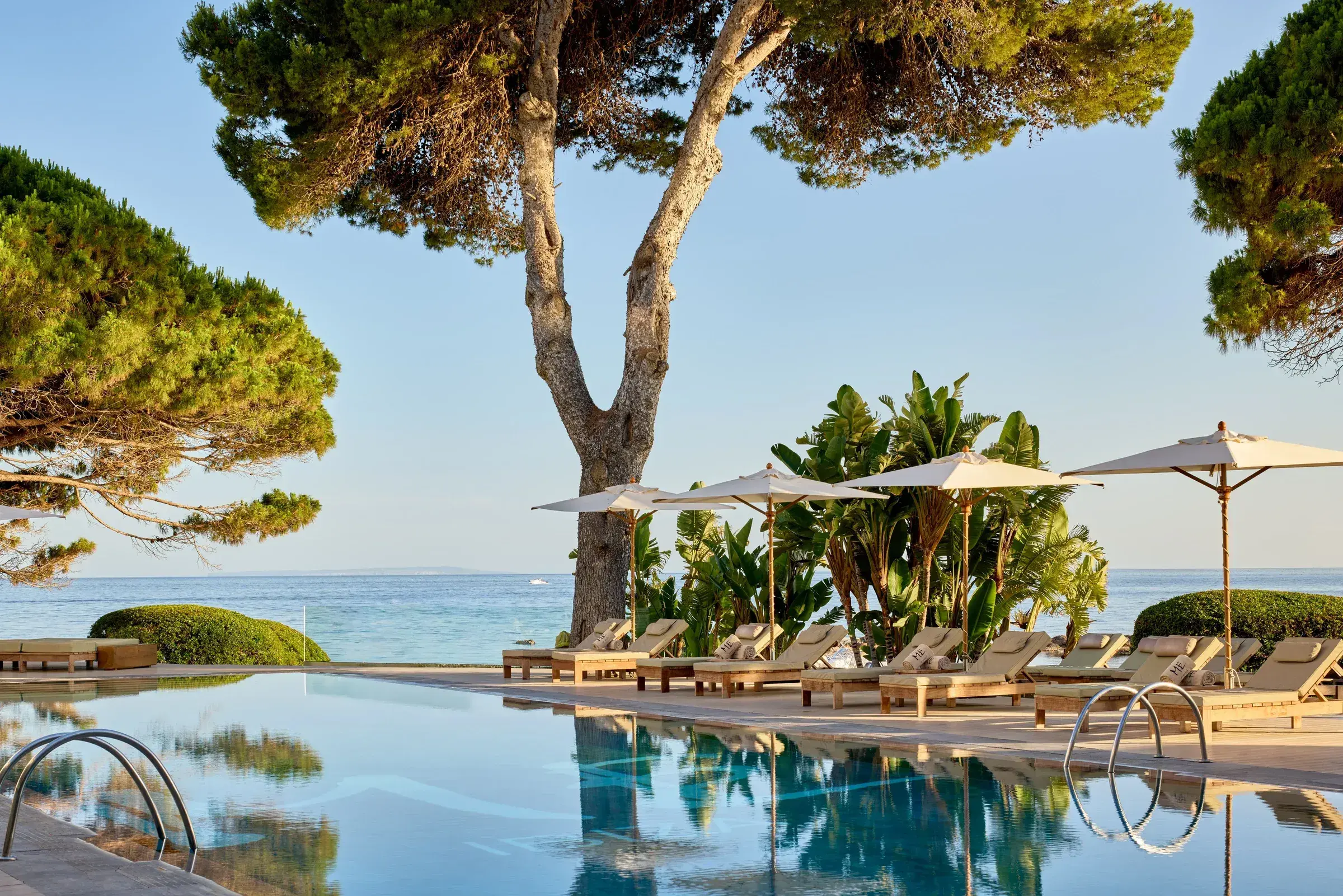 ME Ibiza: Infinity pool under pines looking out to sea