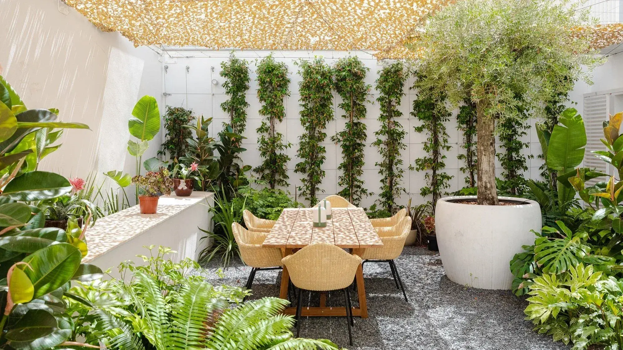 The Standard Ibiza: Plant-filled courtyard terrace with a dining table